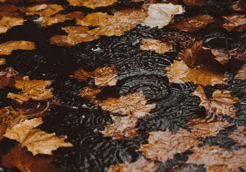 《不生病的藏傳煉心術》／僅為情境圖，取自unsplash