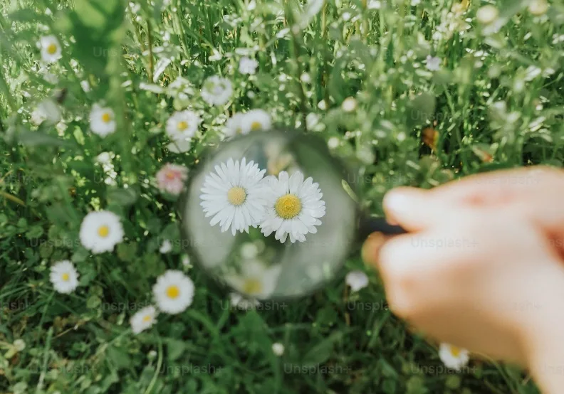 《那些心理學教我的事》／僅為情境圖，取自unsplash
