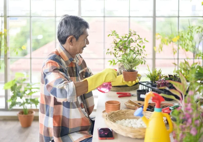 許多獨居老人雖沒有家人，卻能夠過得充實快樂的祕訣何在？取自Unsplash