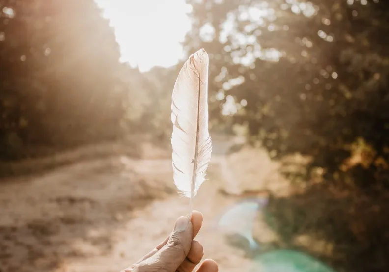 《醫道習慣》／僅為情境圖，取自unsplash