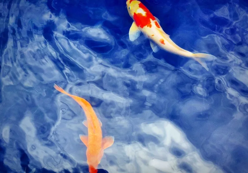 《醫道習慣》／僅為情境圖，取自unsplash