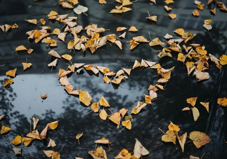 《親密恐懼》／僅為情境圖，取自unsplash