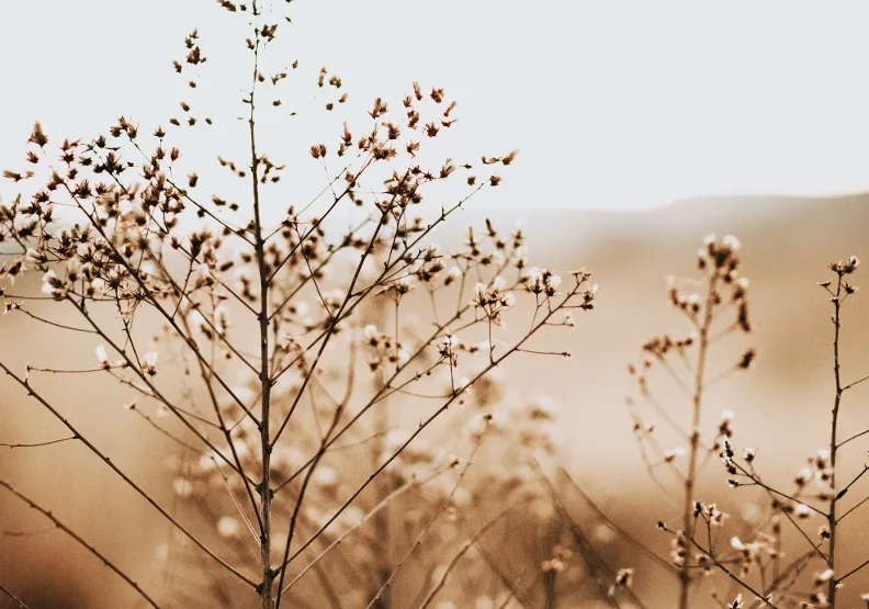 《預見50歲後的大小事》／僅為情境圖，取自unsplash