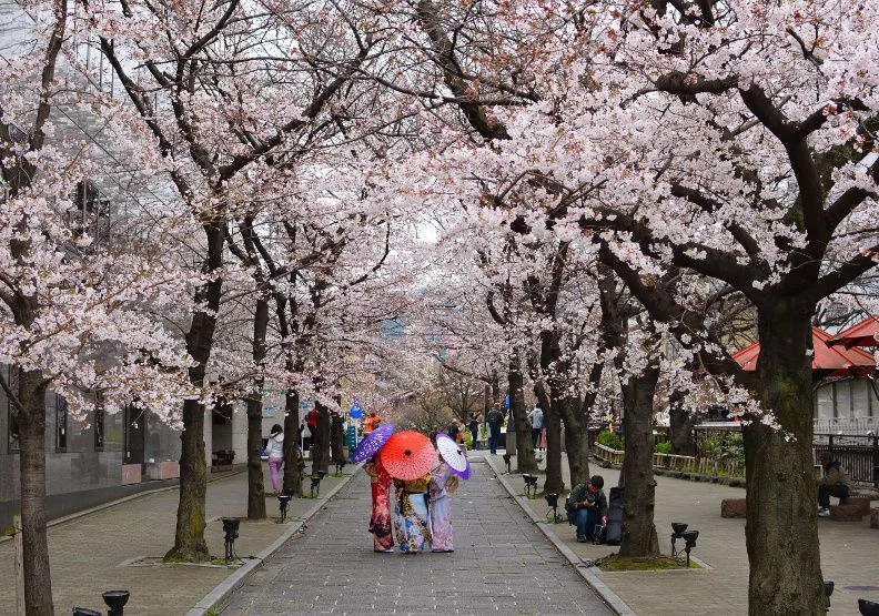 國際投資專家告訴你：要去日本玩的，就趁現在！取自Unsplash