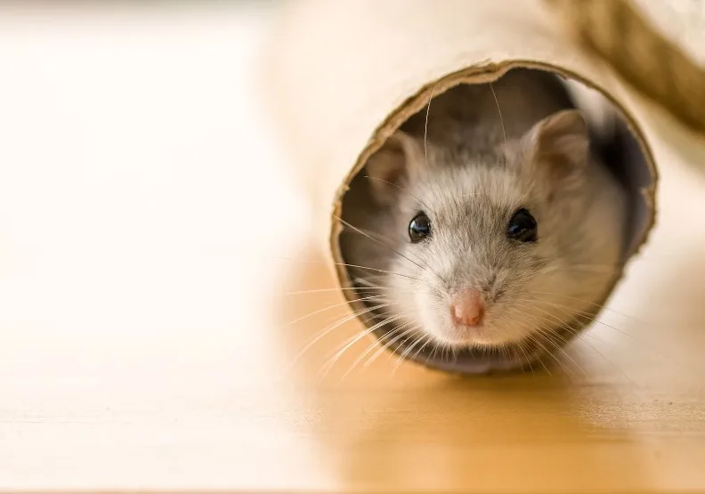 《孩子的耐挫力，比什麼都重要》／僅為情境圖，取自unsplash