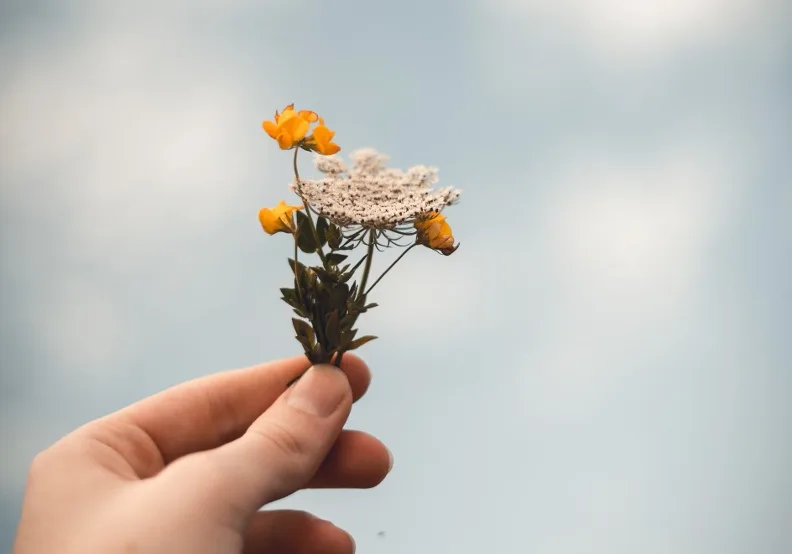 《隨時放得下的功課》／僅為情境圖，取自unsplash