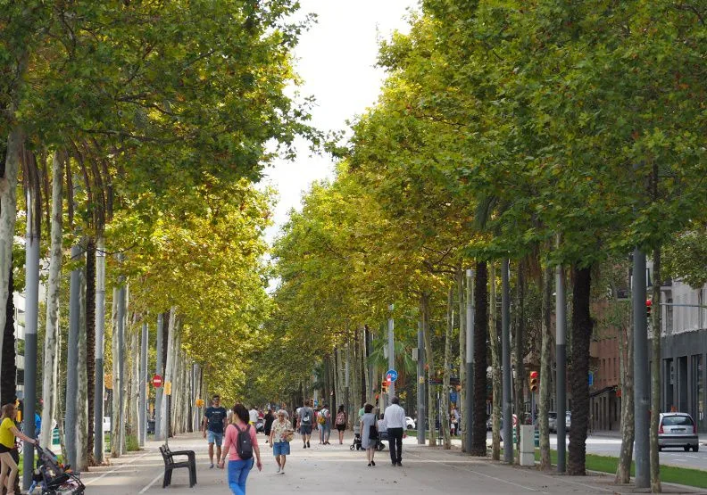 林蔭大道是每個都市在空間規劃格局中，均想呈現出該都市的氣勢與氣質。郭瓊瑩提供