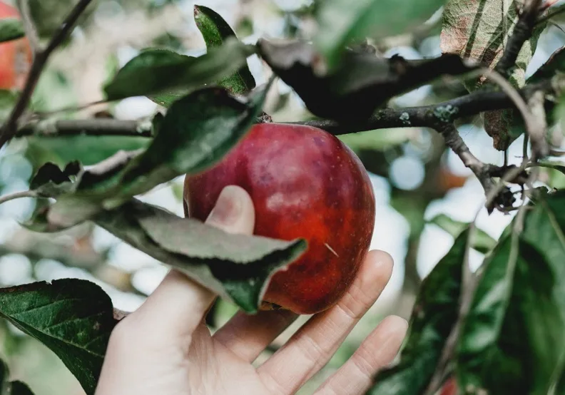 《最高CP值的人生設計課》／僅為情境圖，取自unsplash