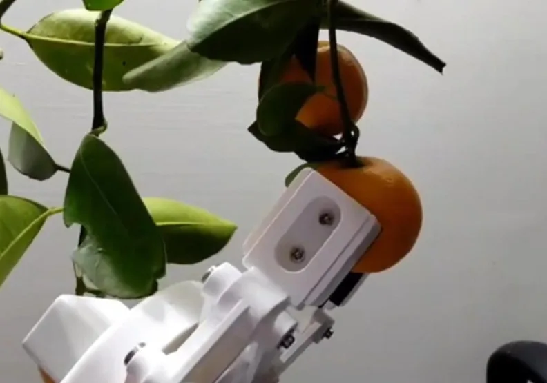 大葉大學機械工程學系教授黃登淵利用人工智慧技術，開發出能採摘農作物的AI機器人。取自大葉大學官網