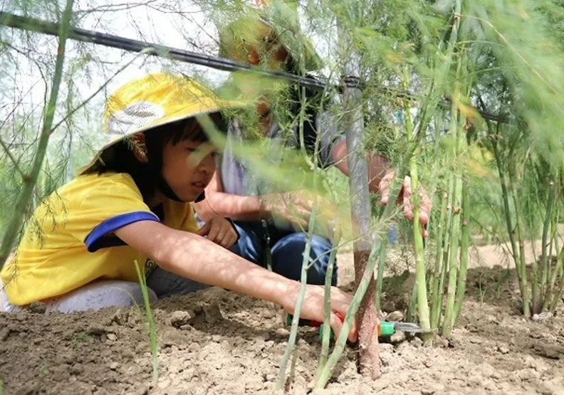 戶外教育中，蘆筍農手把手教小朋友如何種植蘆筍。台南大學提供