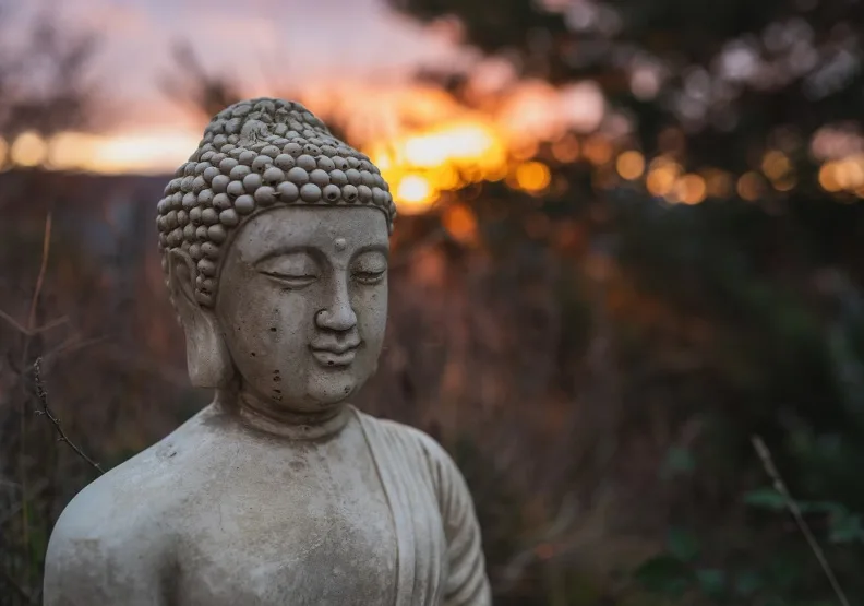 《不反應的練習》／僅為情境圖，取自unsplash