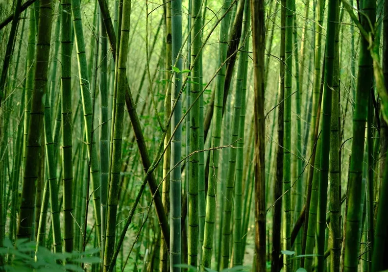 《說話的品格》／僅為情境圖，取自unsplash