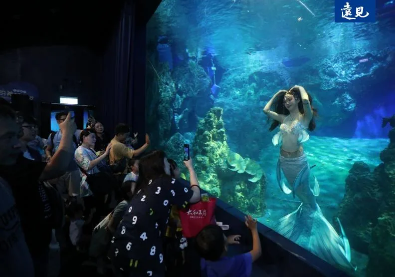遠雄海洋公園閉園近兩個月後，6/1重新開園。張智傑攝