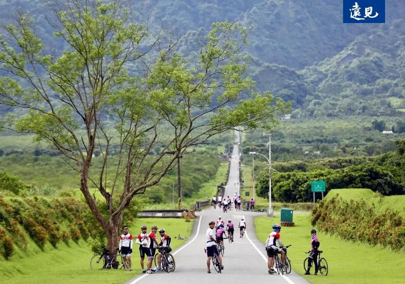 稻穗與山脈交織的193縣道旅遊路線。張智傑攝