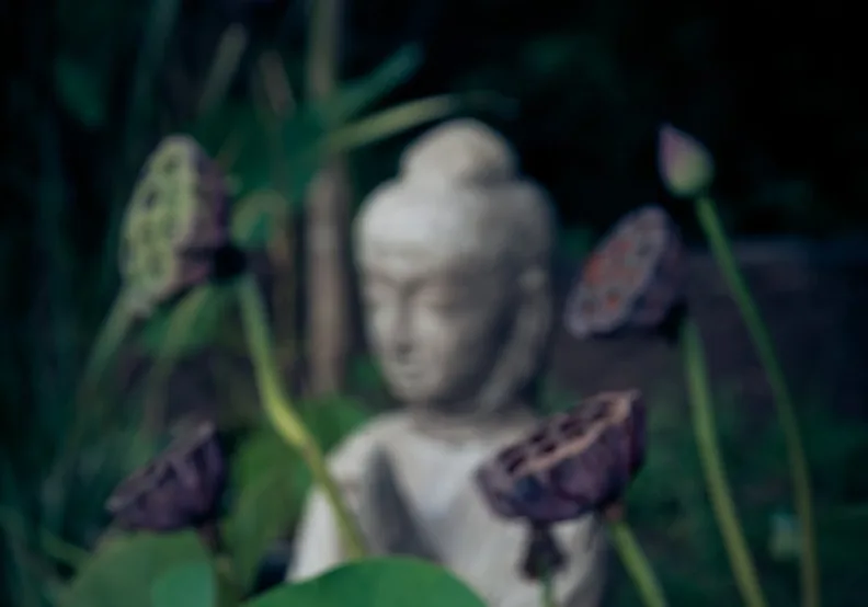 《權變》／僅為情境圖，取自unsplash