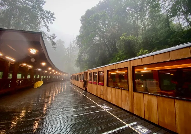 阿里山林鐵7月6日將恢復全線通車，福森號主題列車配合營運。取自臉書@阿里山林業鐵路及文化資產管理處