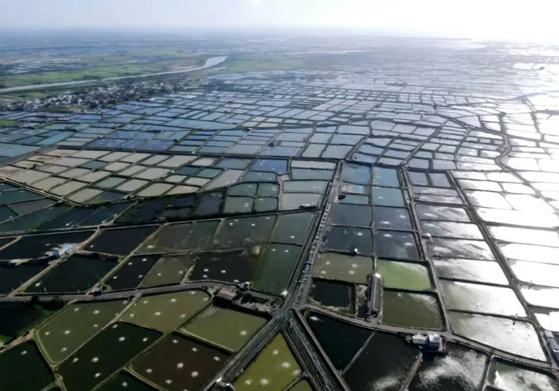 雲豹能源取得嘉義戶外型漁電共生項目，預計2026年第一季完工。取自雲豹能源官網
