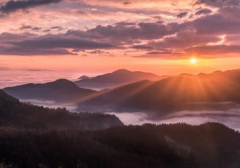 《正是時候讀叔本華》／僅為情境圖，取自unsplash