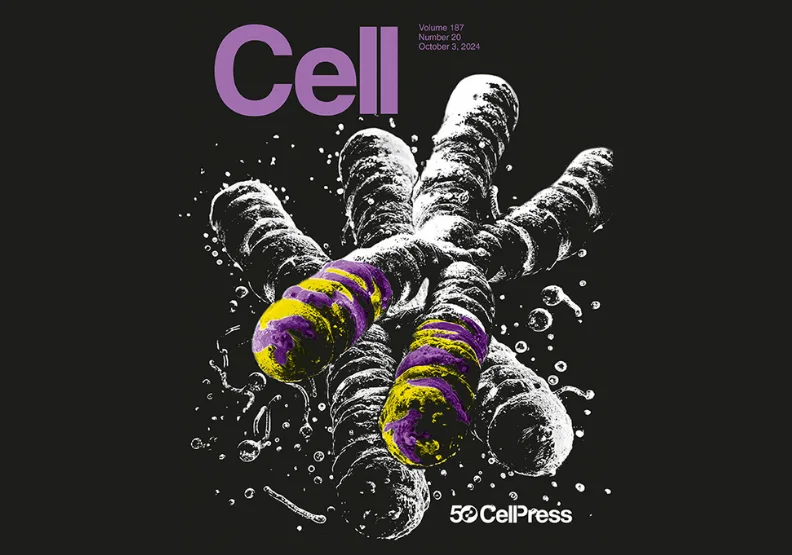 圖為187期《細胞》雜誌。取自cell.com