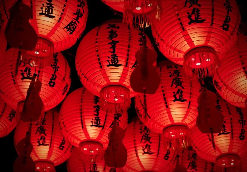 《謝沅瑾蛇年生肖運勢大解析》／僅為情境圖，取自unsplash