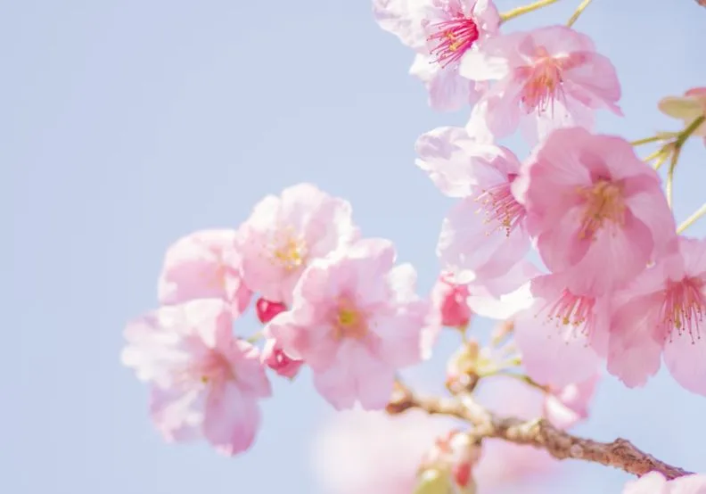 《樂活國民曆》／僅為情境圖，取自unsplash