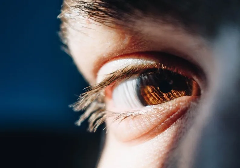 《好眼力》／僅為情境圖，取自unsplash