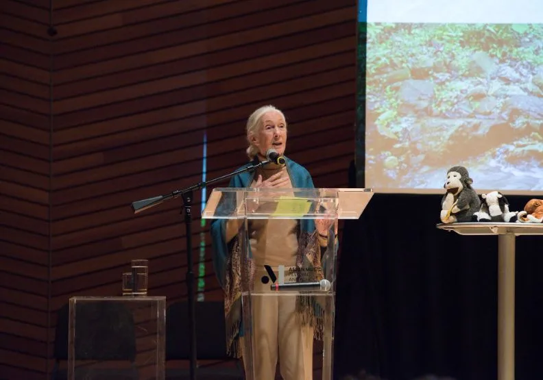 英國動物學家珍古德。取自X@JaneGoodallInst