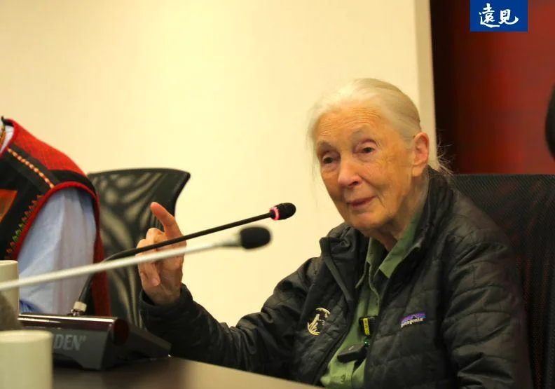 備受尊敬的黑猩猩專家和保育人士珍古德（Jane Goodall）於上週三（10月1日）辭世。資料照，黃菁慧攝