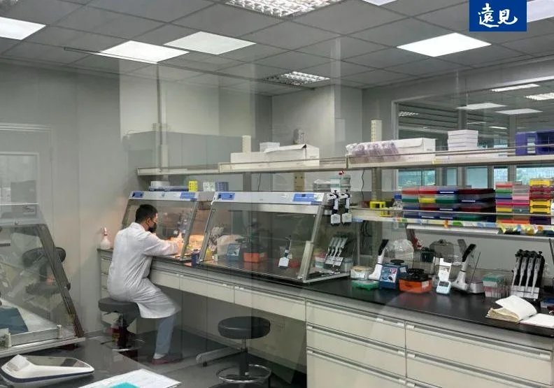 次世代定序（NGS）檢測能一次分析大量基因，成為當前癌症基因檢驗趨勢，去年5月起納入健保。周彥妤攝