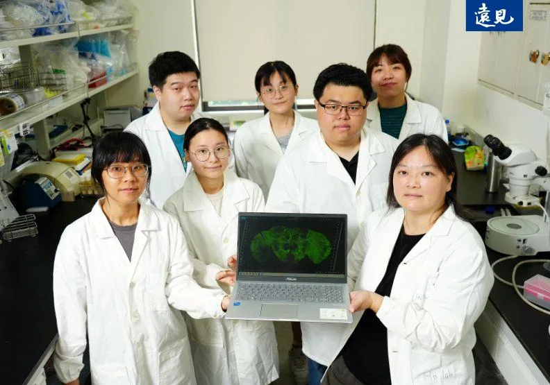 陽明交大神經科學所副教授何淑君（前排右1）歷經十年研究，透過果蠅與小鼠實驗模擬病程，解開帕金森氏症毒蛋白清除機制。陳之俊攝