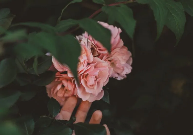 《更年期完全聖經》／僅為情境圖，取自unsplash