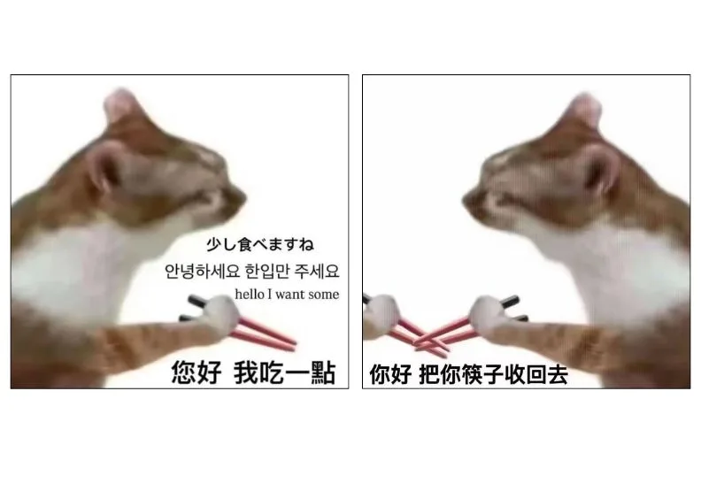 「你好，我吃一點」、「你好，把你筷子收回去」貓咪迷因圖。圖取自網路