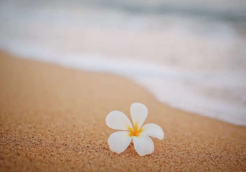 《靜心的力量》／僅為情境圖，取自unsplash