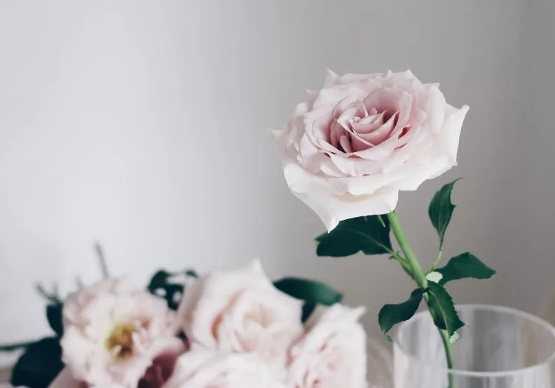 《別怕荷爾蒙，妳抗衰防病的關鍵》／僅為情境圖，取自unsplash