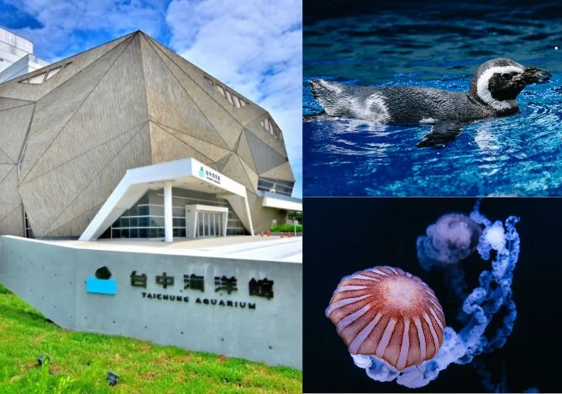 歷經14年「台中海洋館」 8/21 正式登場！遠見編輯部
