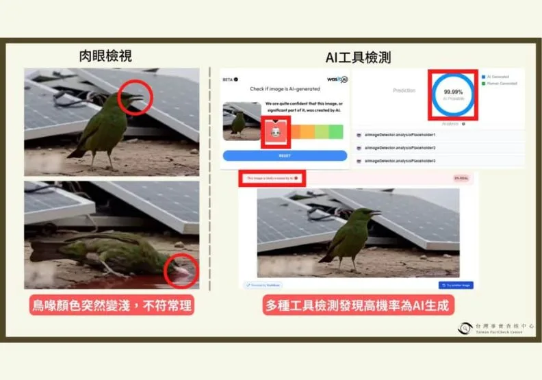 網傳「小鳥喝光電板紅水後秒暴斃」影片，經檢視為AI生成影片。取自事實查核中心