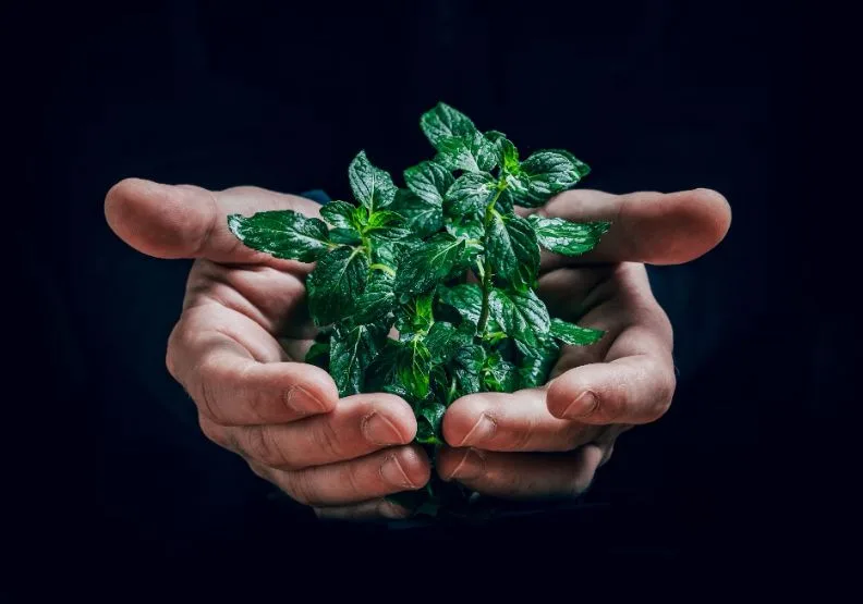 《複利思維》／僅為情境圖，取自unsplash