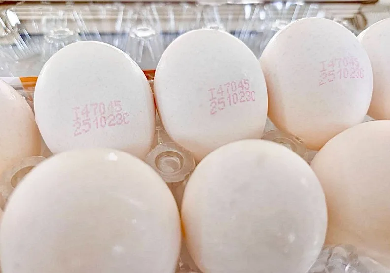 彰化縣衛生局抽驗市售雞蛋，在「鮮健蛋品洗選蛋（白殼雞蛋）」檢出芬普尼代謝物殘留超標3倍。彰化縣衛生局提供