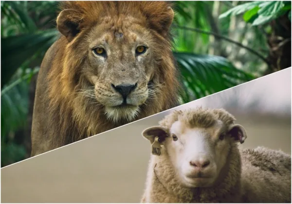 在職場享受「獨活」樂趣！如果你是獅子想獨來獨往，何必裝做羊？