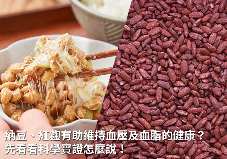 納豆、紅麴等相關食品的益處多，讓我們先從科學角度出發，了解它們關鍵成分的作用機制與安全考量。