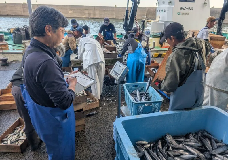 日本漁會長期人手不足，在日常作業中導入AI能幫上大忙。照片：本文受訪者提供