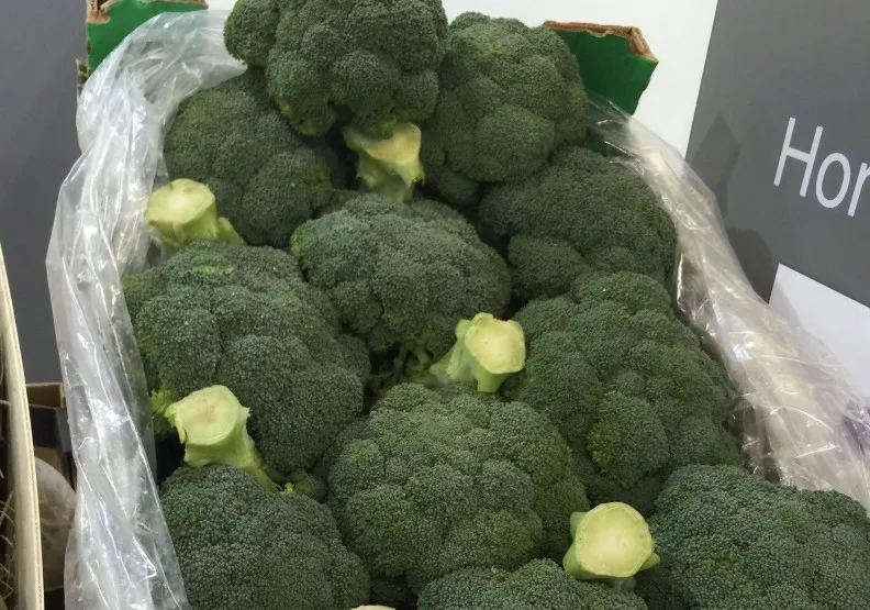 種了個寂寞的青花菜。取自全球在臺協會-農經組臉書