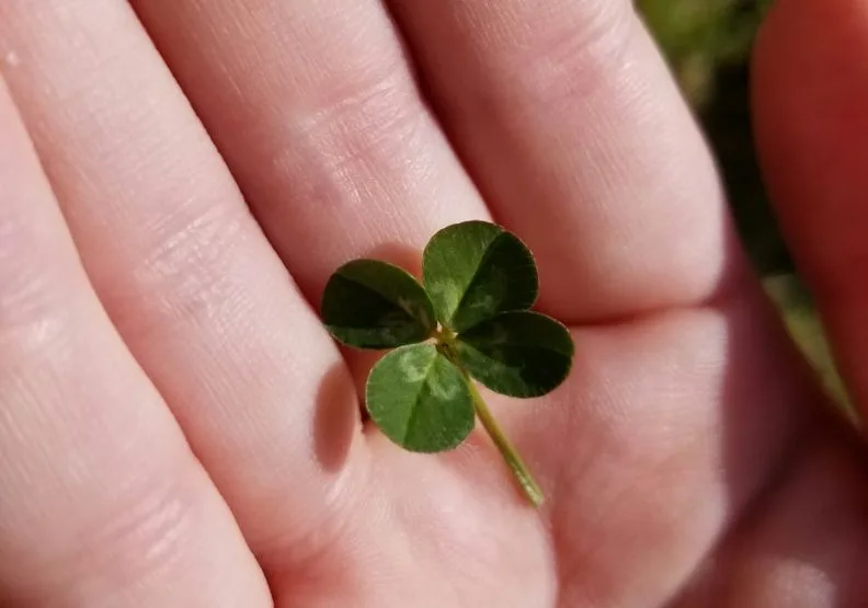 《每月1000元，輕鬆滾出千萬的雞尾酒投資法》／僅為情境圖，取自unsplash