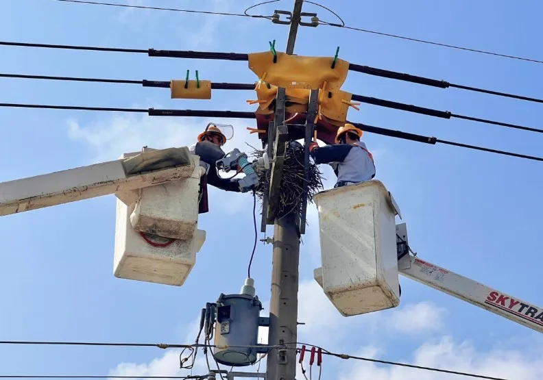 台電致力強化供電穩定。台電提供