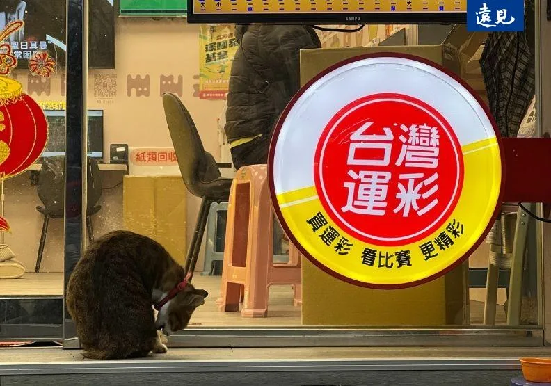 圖為新北市彩券行。張婉約攝