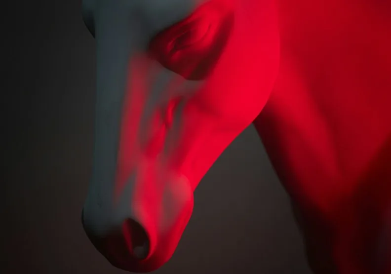 我們正迎來60年一個週期的「赤馬紅羊劫」。僅為情境配圖，Photo by Vidar Nordli-Mathisen on Unsplash