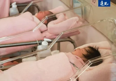 搶救少子化大作戰！房價高昂、托育缺口，害年輕人「不婚不生」？