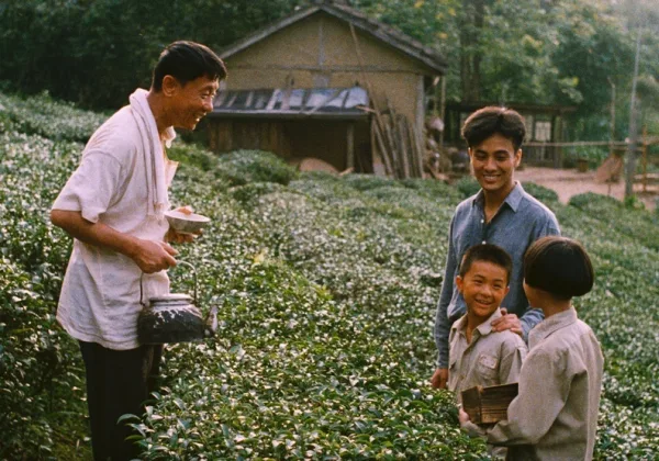 為什麼《魯冰花》是所有台灣人都必看的經典電影？