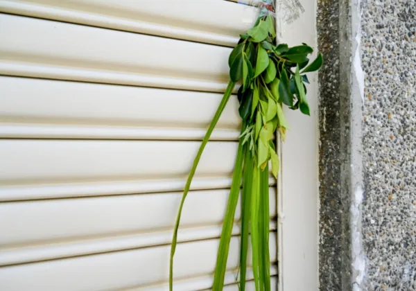端午節用艾草洗澡，能避邪、除濕安神？中醫揭泡澡好處，警告３膚況千萬別洗