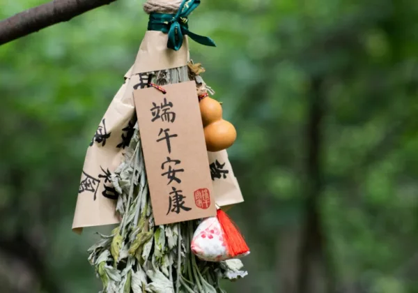 為什麼端午節要掛菖蒲艾草？解密「惡月惡日」避邪習俗與身心療癒功效